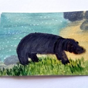 Hippopotamus Miniature Painting