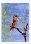 A nightingale miniature painting in acrylic and glass paint