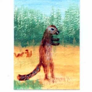 Xerus squirrel miniature painting