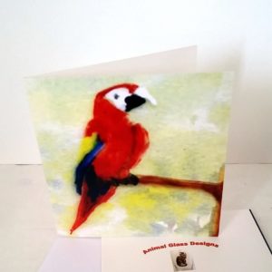 Macaw Parrot card with the bird perched on a tree