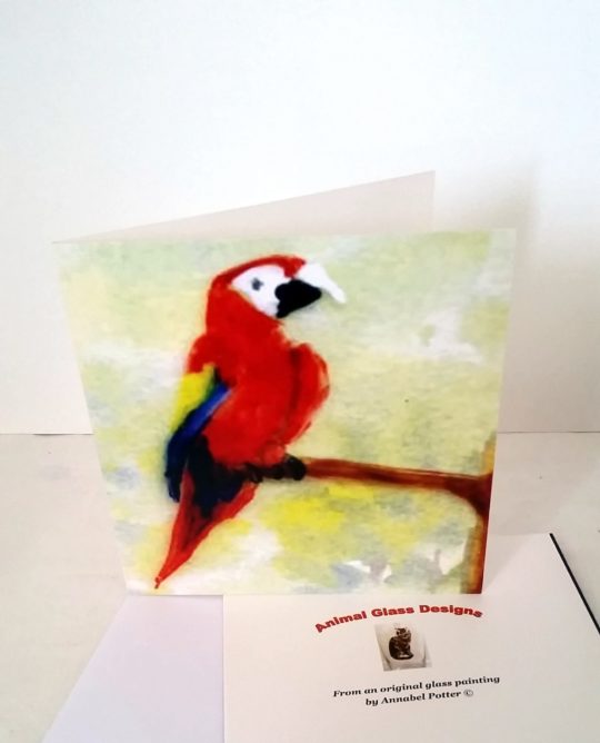 Macaw Parrot card with the bird perched on a tree