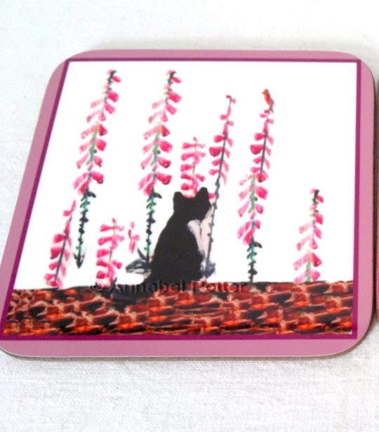 Foxglove flowers with a black and white cat coaster