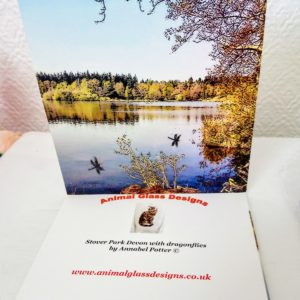 Devon Greetng Card with a photo of Stover park lake and trees in Autumn with dragonfly art