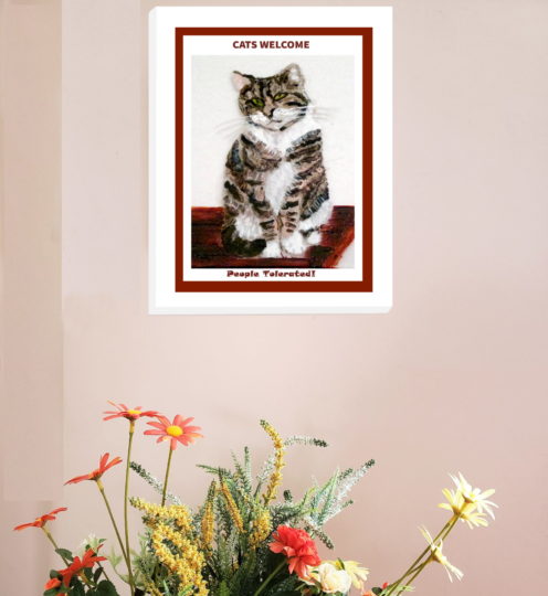 Funny Tabby Cat wall art print