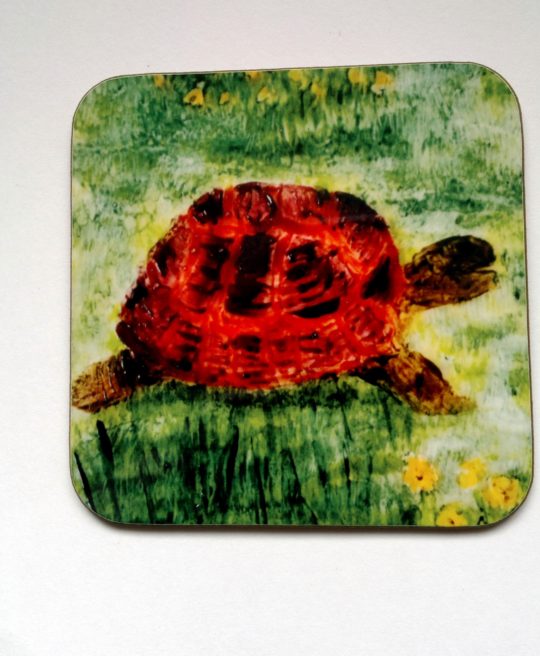 Tortoise coaster with a wood back