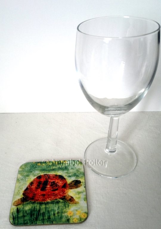 Tortoise coaster photographed with a glass