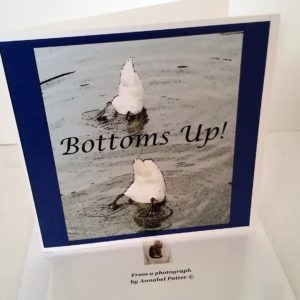 Funny card with two swans heads down in the water and the text 'Bottoms Up!'