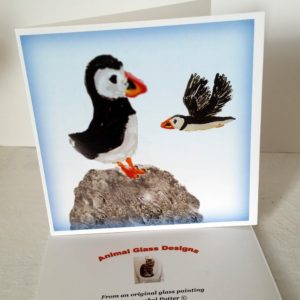 Puffin greeting card with two puffins. One on a rock and another in flight