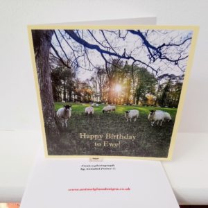 Card with sheep in a field at sunset and the text Happy Birthday to Ewe!