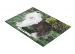 Welcome Door Mat with an Old English Sheepdog Painting