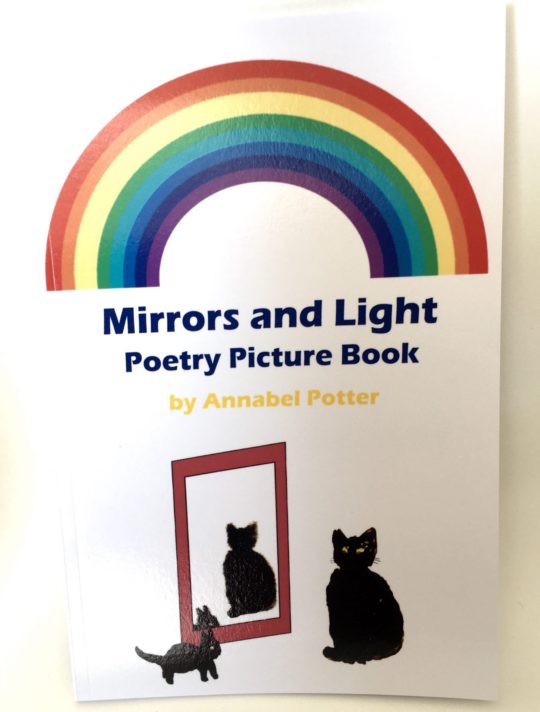 Mirrors and Light Picture Book Cover