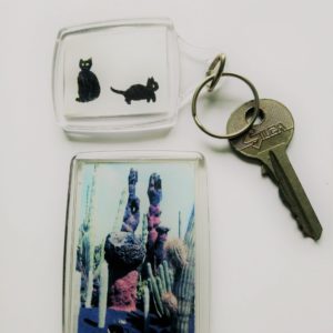 A black cat key ring and fridge magnet with a cat in a cactus garden