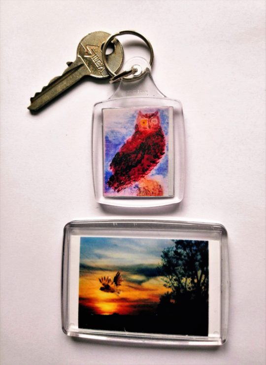 Owl key ring and fridge magnet set