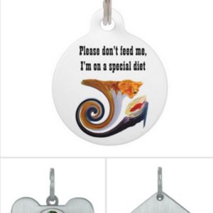 Personalised pet tags with animal art