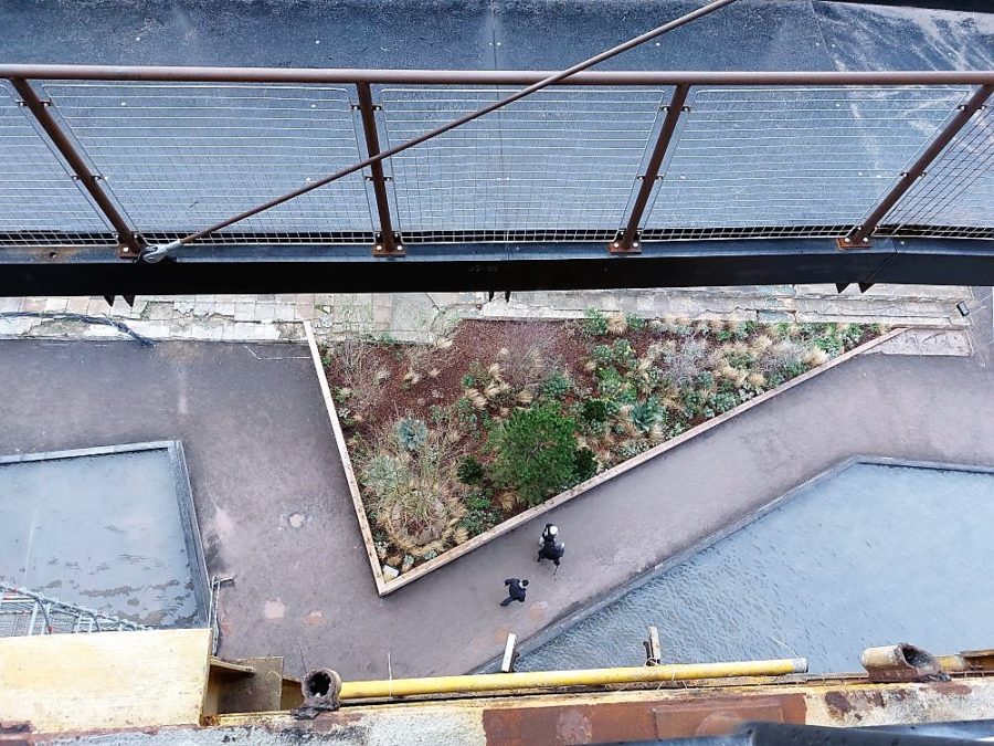 Looking down from the top of See Monster art installation.