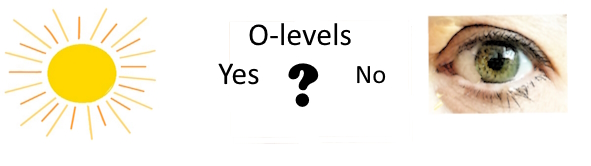 Sunshine, O-levels yes or no, eye image